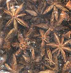 Star Anise